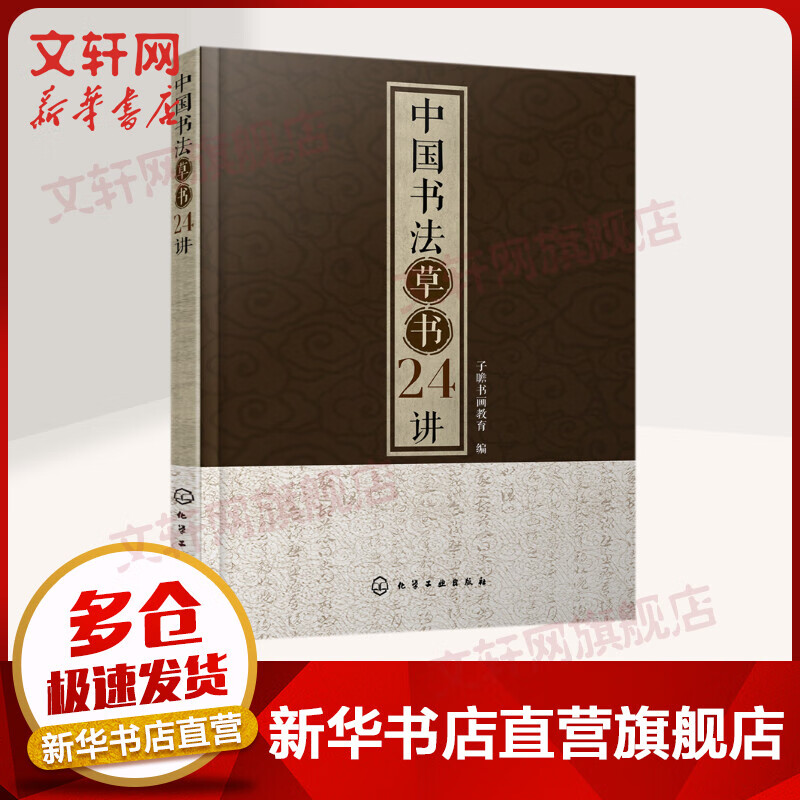中国书法草书24讲