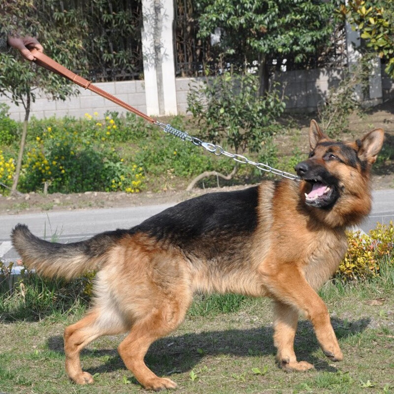宠物遛狗绳牵引绳大型犬狗狗牛皮牵引绳狗牵绳训练狗链德牧金毛用 咖