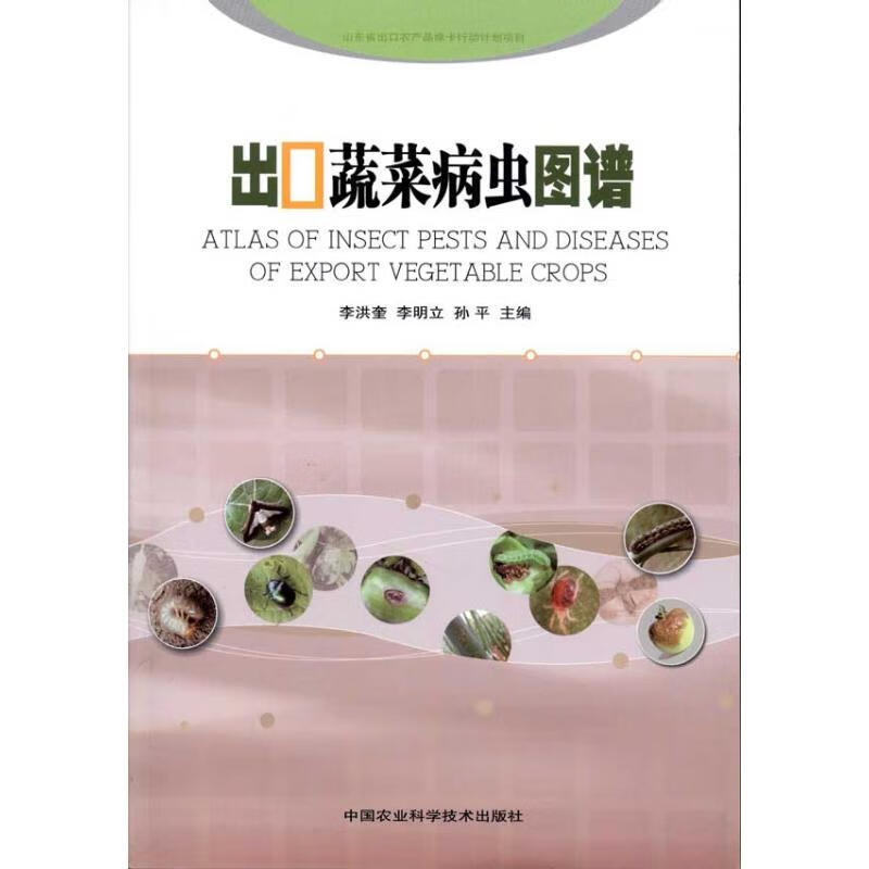 出口蔬菜病虫图谱 孙平 作 书籍