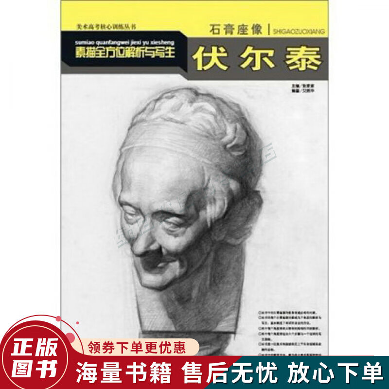 石膏座像素描全方位解析与写生:伏尔泰
