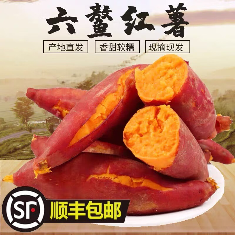 沙地番薯新鲜蔬菜 农家自种新鲜沙地红番薯 5斤 中果(单果100g左右)
