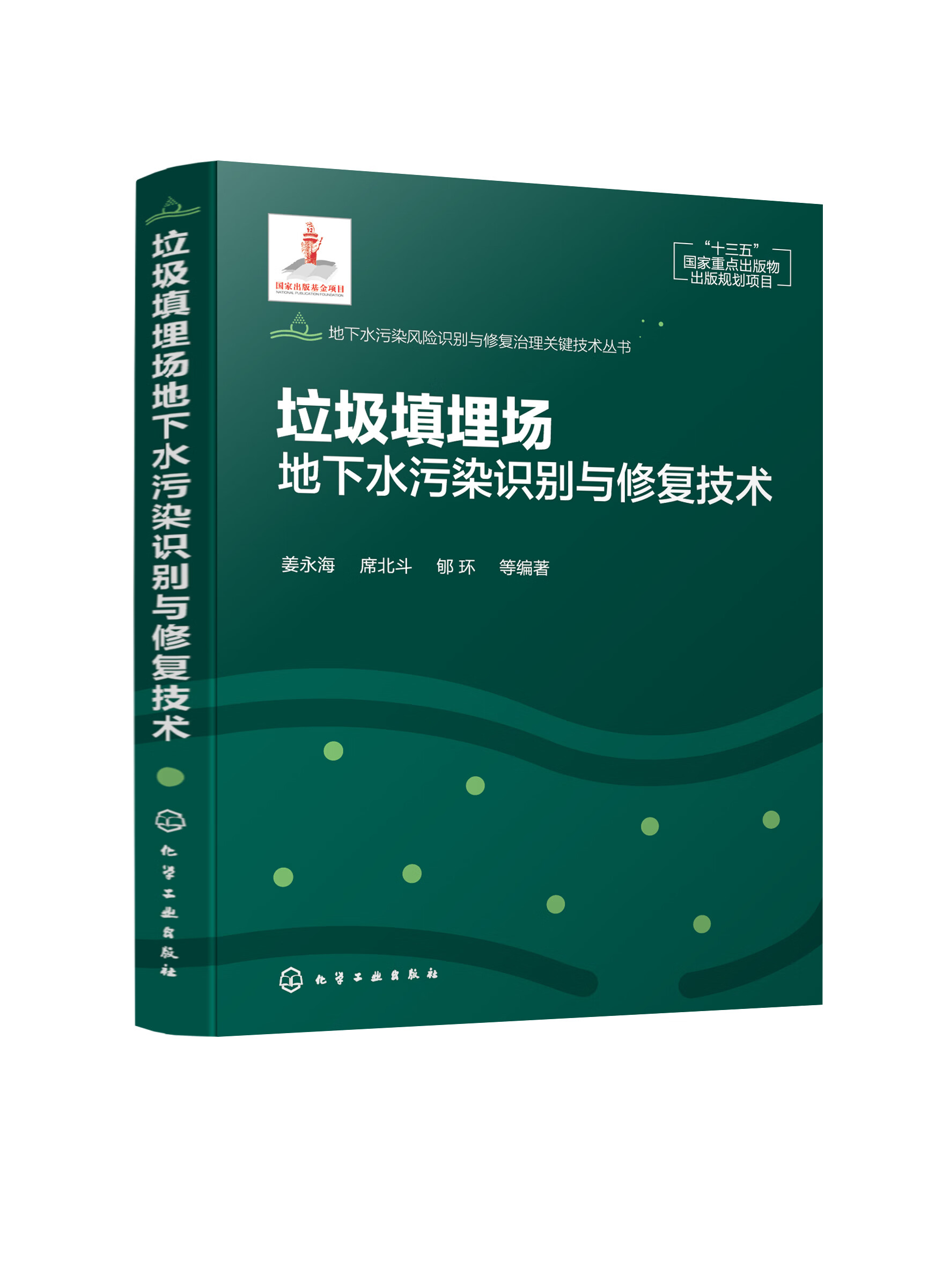 垃圾填埋场地下水污染识别与修复技术 地下水污染风险识别与修复治理关键技术丛书