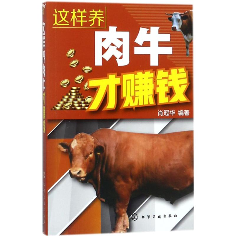 这样养肉牛才赚钱