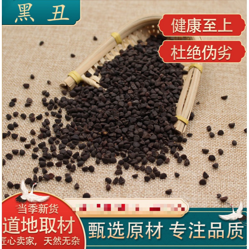 【滋补】黑丑药食滋补黑丑 黑牵牛子黑丑牵牛籽 喇叭花籽 黑丑250g