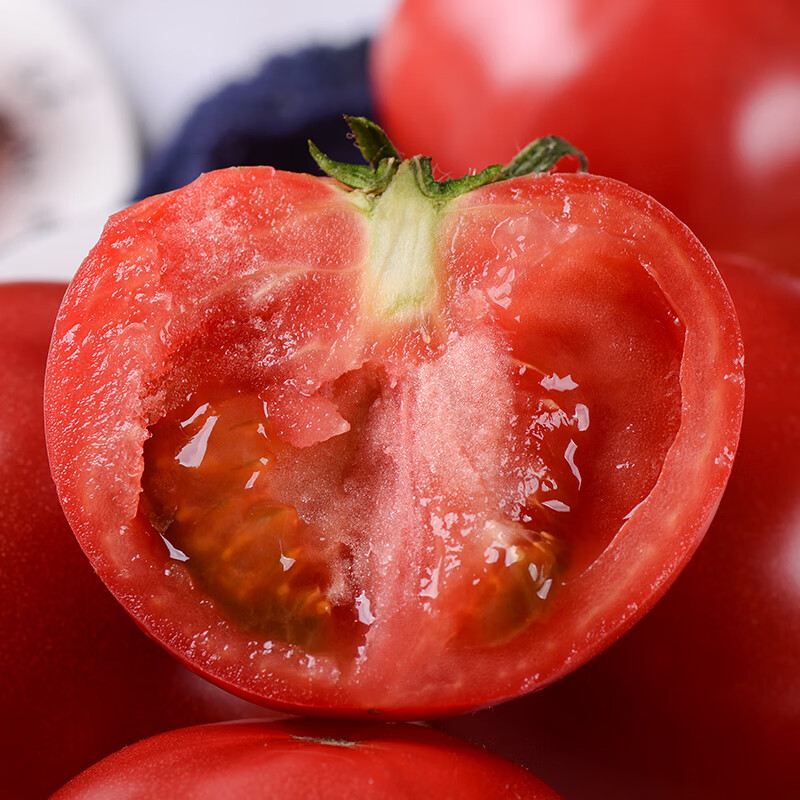 【佑嘉木】海阳普罗旺斯西红柿 番茄 生吃沙瓤自然熟 新鲜蔬菜 4.5斤装