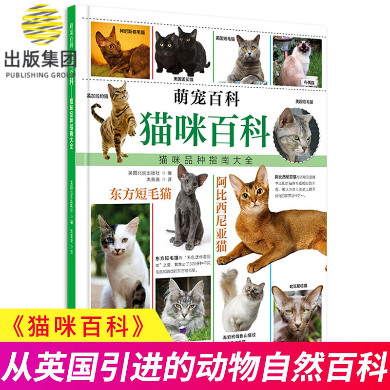 萌宠百科系列——猫咪百科