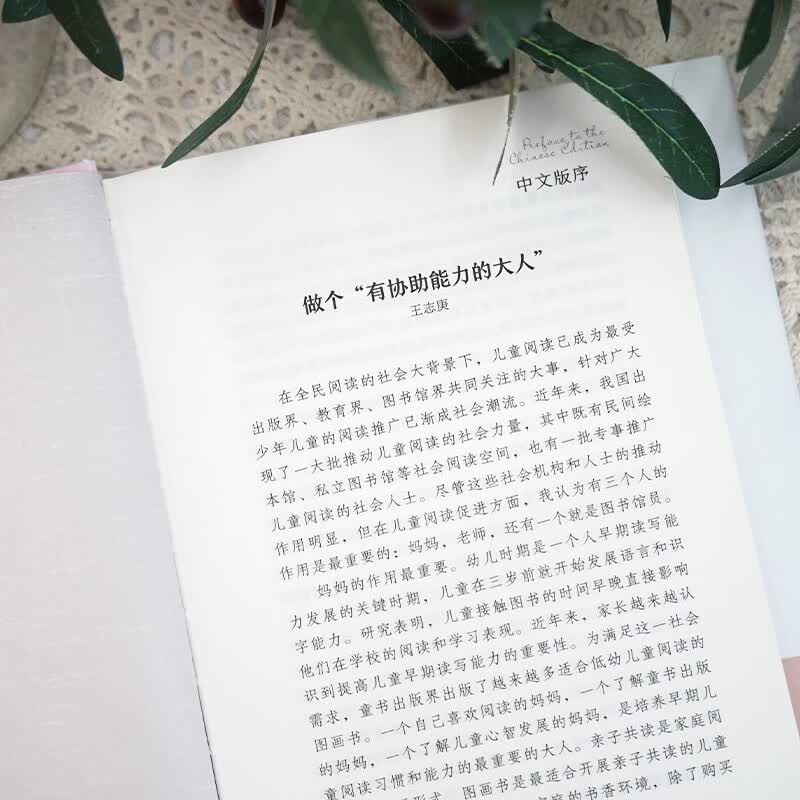阅读理论经典书系：打造儿童阅读环境（新版）详情图