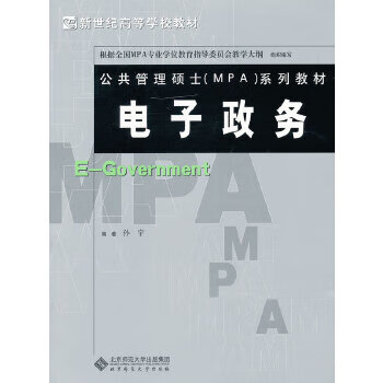 电子政务 孙宇著 北京师范大学出版社【正版图书】