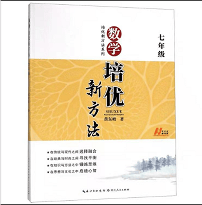 培优新方法系列 七年级上下册 数学 7年级奥数 初一奥赛书 初中数学  黄东坡湖北人民出版社属于什么档次？