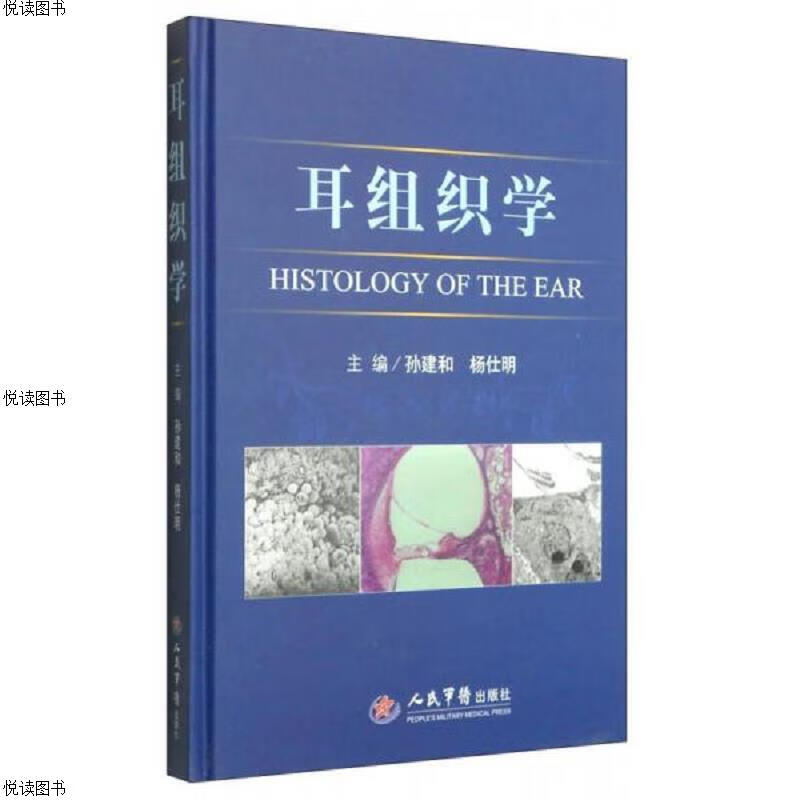 耳组织学