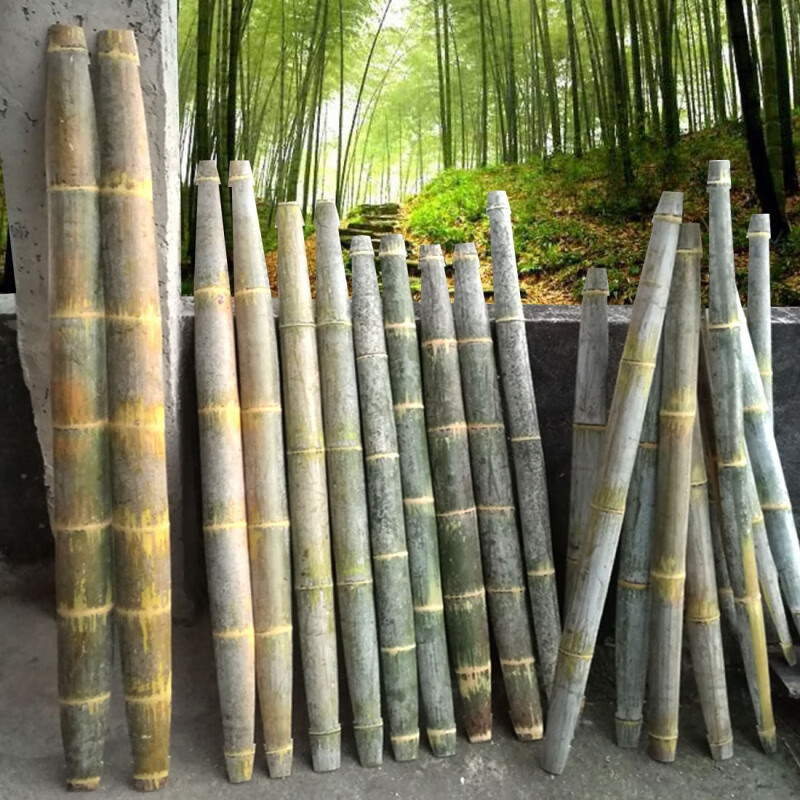 老楠竹扁担手工削毛竹扁担挑水挑子挑土重物扁担舞蹈道具铁钩带绳