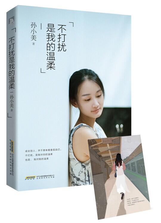 不打扰是我的温柔 小说   图书
