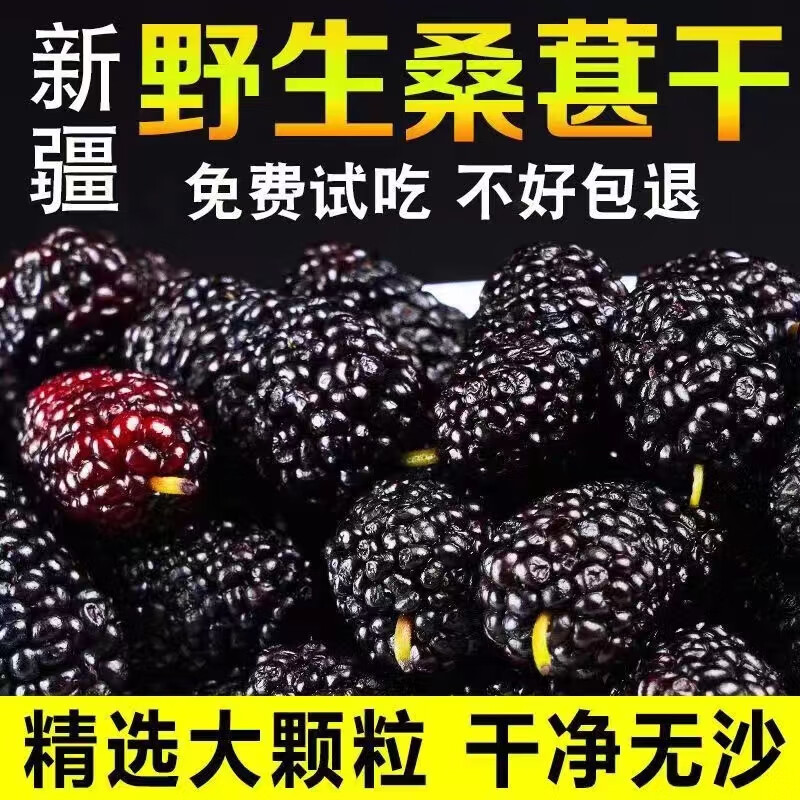 采乐桑椹果干桑葚干新疆特产吐鲁番精选无沙免洗直接吃的大果特级桑葚 桑葚干大果--共两斤装 1000g*2袋 补血果泡水 水洗无杂直接吃的西域干果小零食