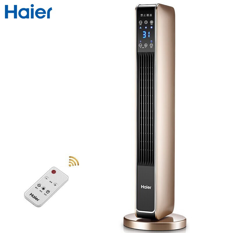 海尔（Haier）取暖器家用暖风机立式电暖风浴室热风机冷暖两用电暖气节能速热省电暖器卧室办公室烤火炉 豪华加大遥控款HNS2201A