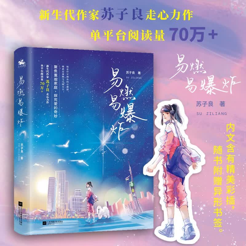 易燃易爆炸9787559458193