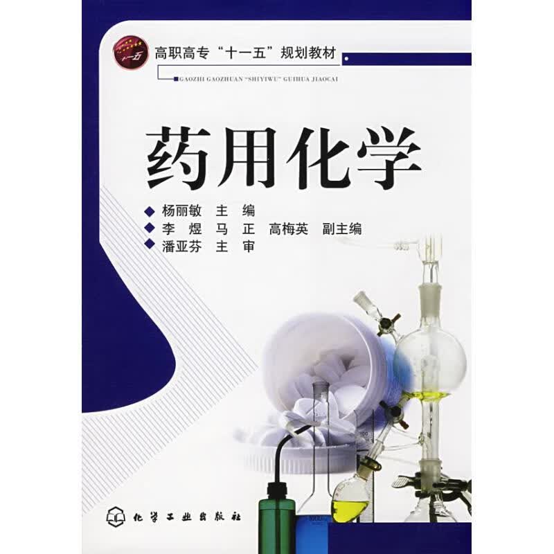 药用化学 杨丽敏主编 作 书籍