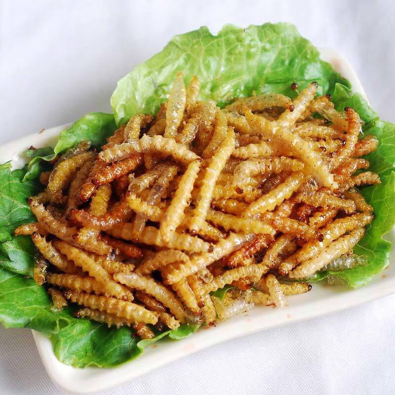 云南傣族美食油炸竹香虫香酥竹蜂昆虫美味竹林竹节虫 宓蝶 20克装