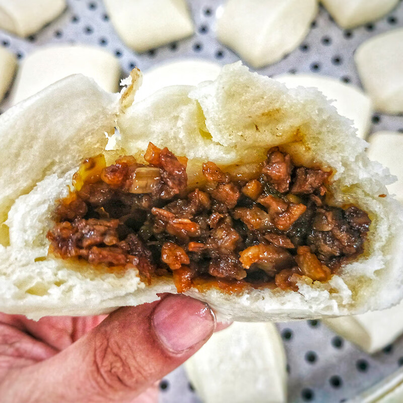 重庆酱肉包子鲜肉九园技术老面早餐灌汤包小笼包真空代 酱肉大包10个