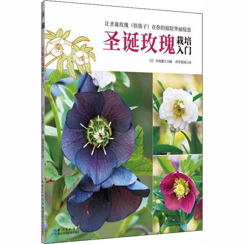 圣诞玫瑰栽培入门9787535293923 有岛薰湖北科学技术出版社家居玫瑰花
