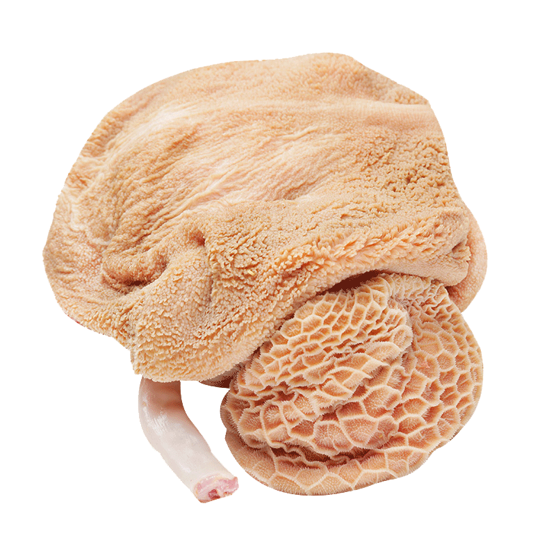 ����� ���ɹź��ױ������Ǹ������ ���������5��2.5kg  ���2.5kg 620Ԫ��4��(��155Ԫ/��)