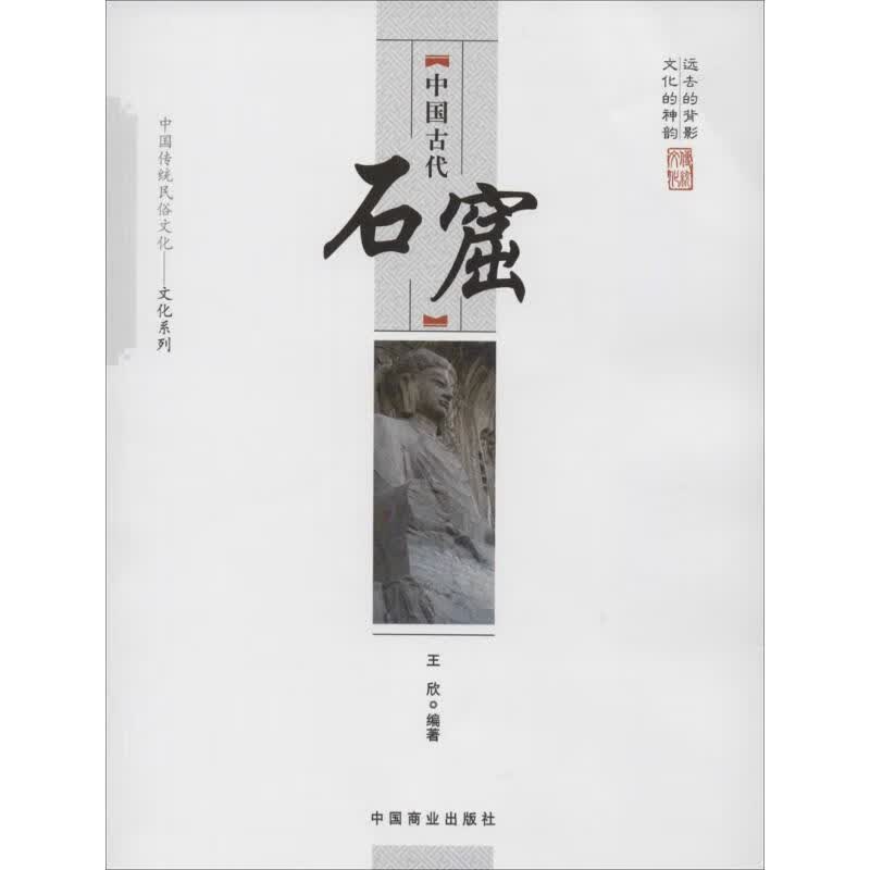 中国古代石窟 王欣 编 书籍