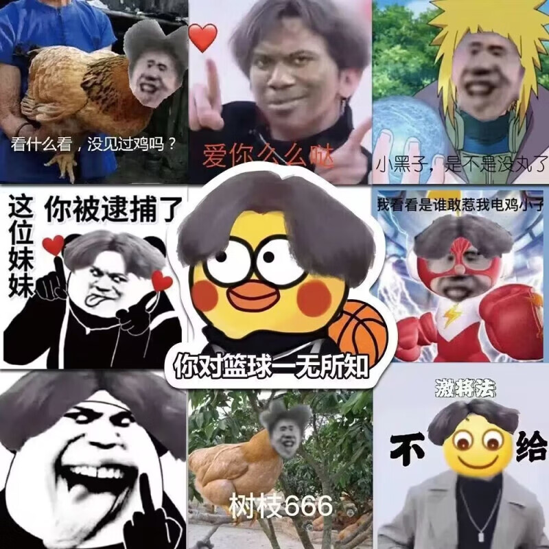 蔡徐坤表情包贴纸小黑子搞笑沙雕黑粉鸡哥鸡你太美恶搞贴纸小贴画爱坤