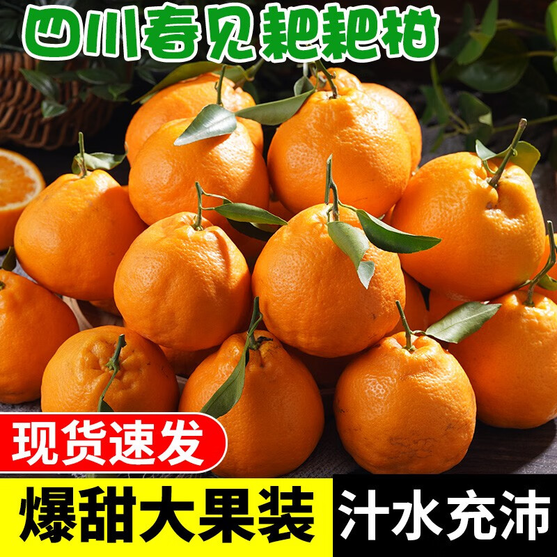 栗品优 春见耙耙柑 粑粑柑 四川柑橘新鲜丑橘子生鲜水果 耙耙柑8斤