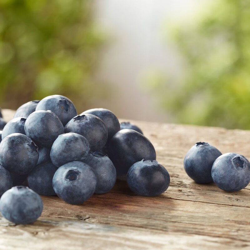 怡颗莓蓝莓使用体验怎么样？看完这个评测就知道了！