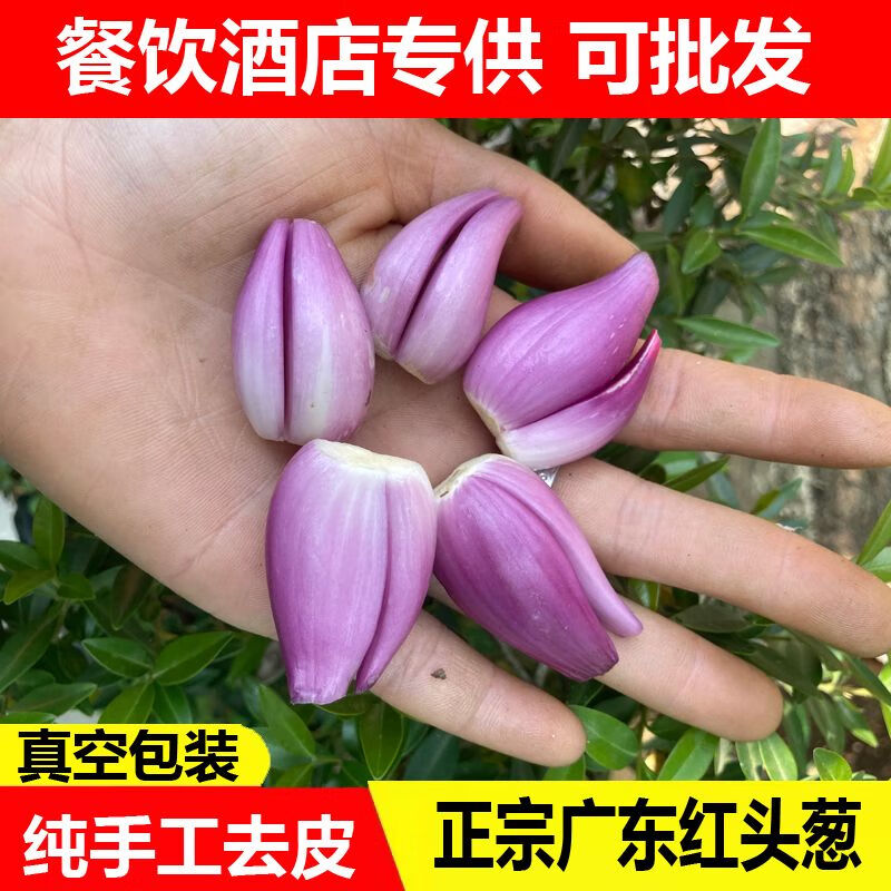 正宗广东红葱头商用去皮剥皮新鲜小葱头剥好干葱头香葱闽南红头葱 200