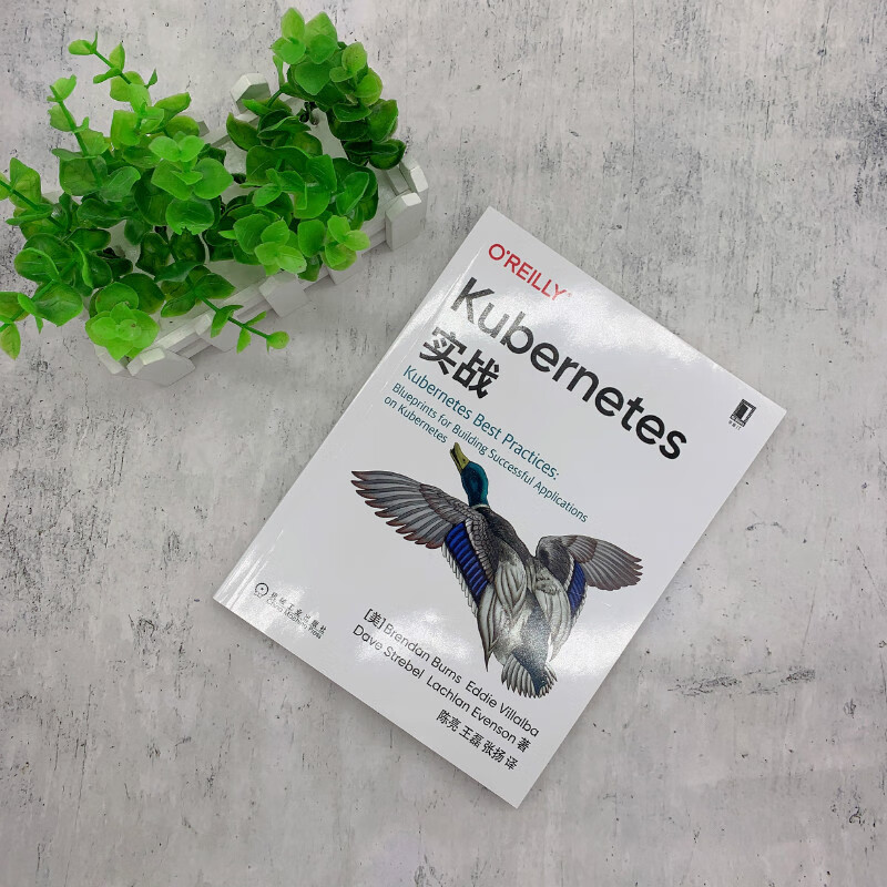 Kubernetes实战详情图