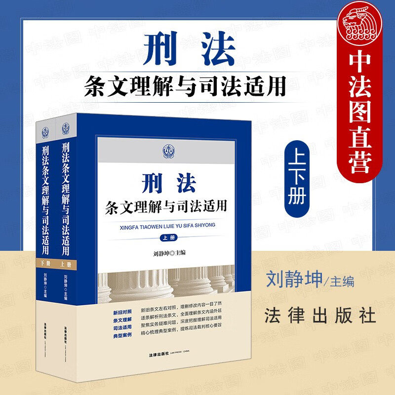 刑法条文理解与司法适用 根据刑法修正案十一确定罪名补充规定七修改 刑法条文新旧对照 典型案例司法裁判