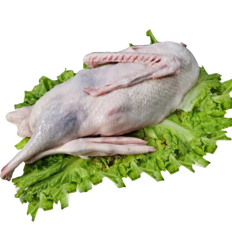 渔水肴正宗黑棕鹅 农家散养大鹅老土鹅新鲜现杀大整只现杀5斤 现杀一