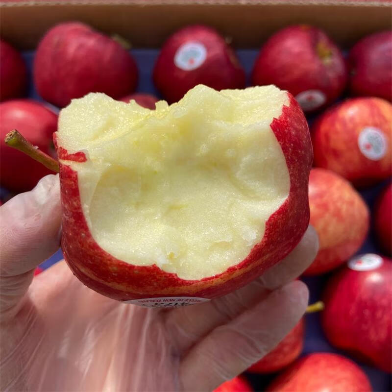 白衣鲜人新鲜进口嘎啦果6个 gala果加力果姬娜果脆甜苹果新鲜水果