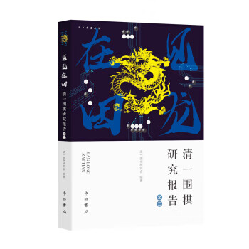 见龙在田:清一围棋研究报告之二