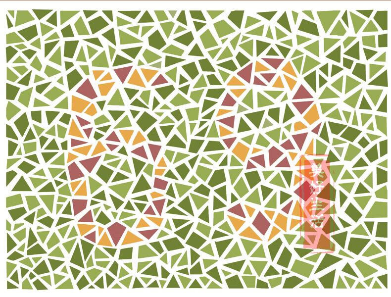 2021新版 色盲检查图 第6版第六版 驾驶证体检高考色觉色盲色弱测试