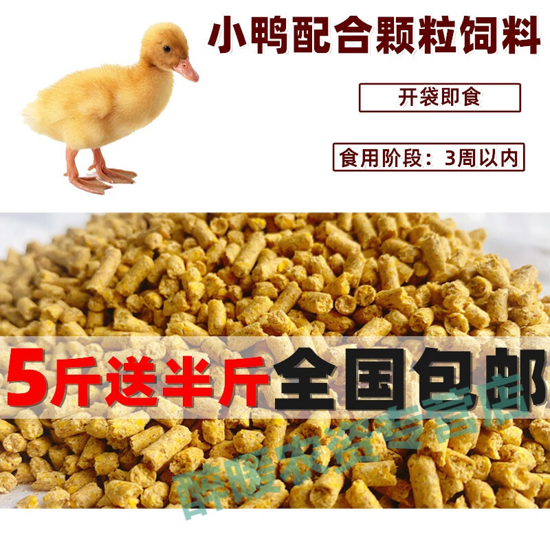 界梁山鸭饲料 小鸭饲料颗粒开口料小鸭子小鸡鹅鹌鹑鸟鸽细颗粒饲料 5