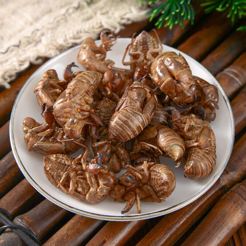 蝉蜕中药饮片疏散风热利咽透疹蝉蜕中药材大药房中药店抓药蝉退蝉