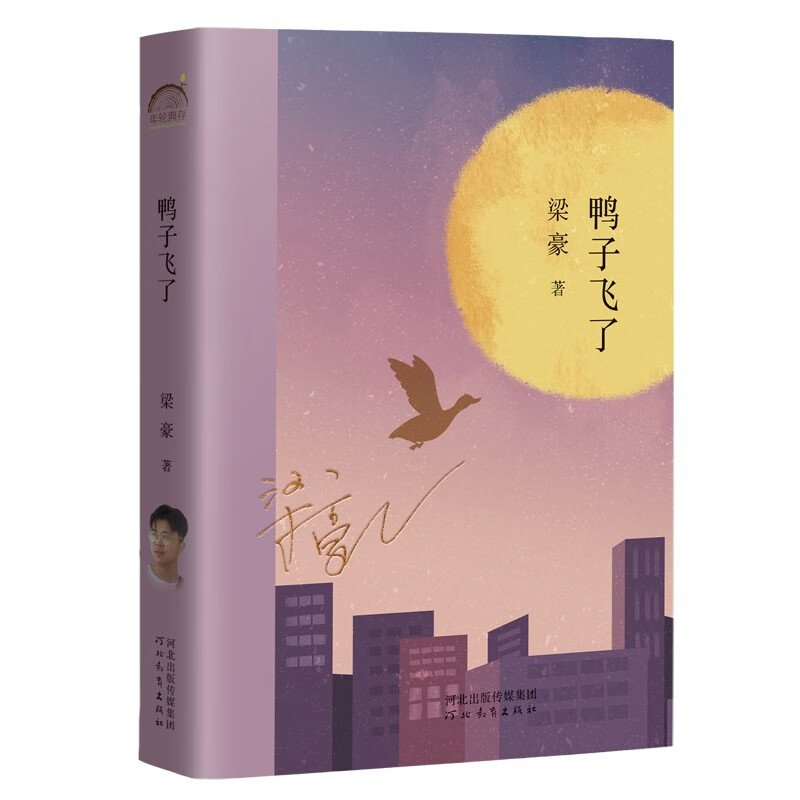 鸭子飞了 90后新锐作家梁豪自选集,年轮典存丛书