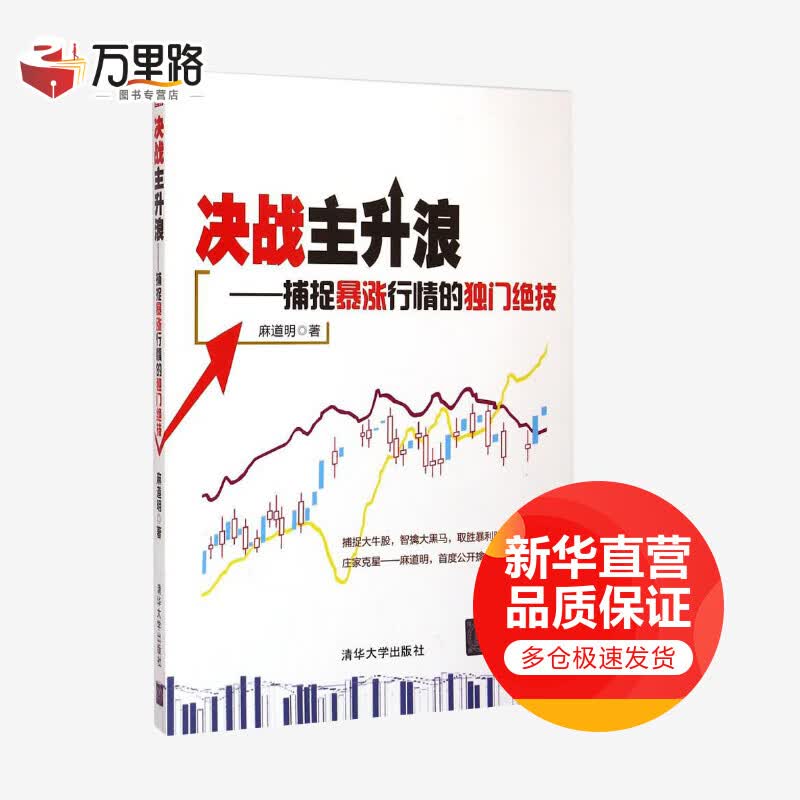 决战主升浪:捕捉暴涨行情的独门绝技