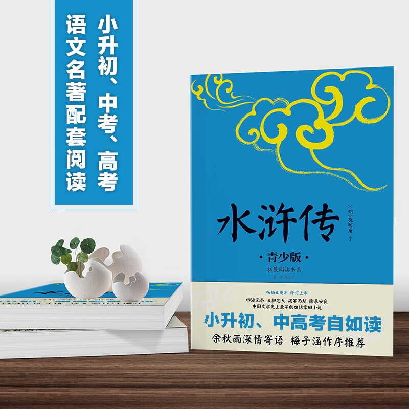 四大名著（青少年版）《西游记》《三国演义》《红楼梦》《水浒传》 中国传统文化儿童文学历史小说 小升初中高考自如读 知识点注释手绘插图现代语言翻译改写课外阅读： 《水浒传》青少版 （民主与建设出版社）