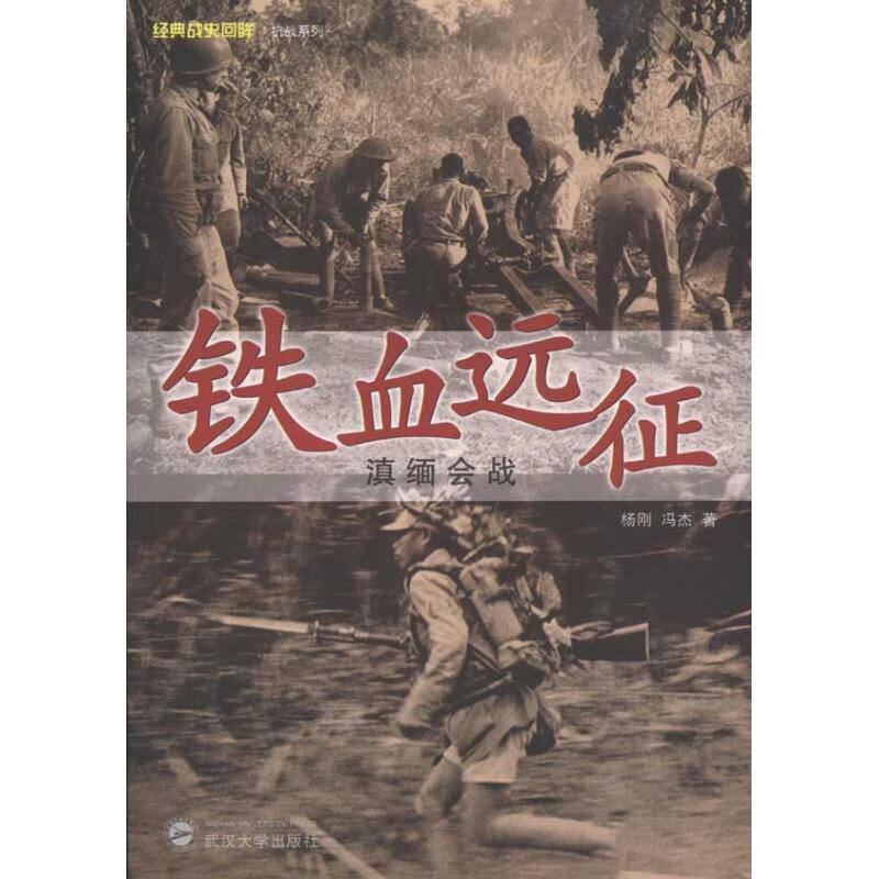 铁血远征:滇缅会战 杨刚,冯杰 书籍