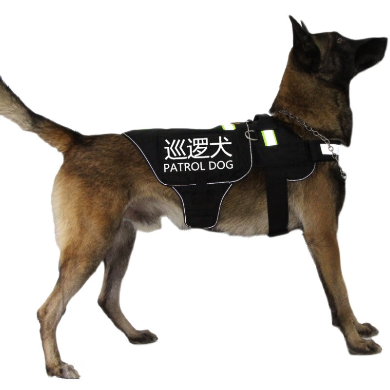 搭啵兔战术犬衣服尖兵马犬德牧衣服反光k9犬胸背带定制字帖狗名字贴