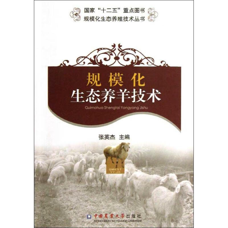规模化生态养羊技术