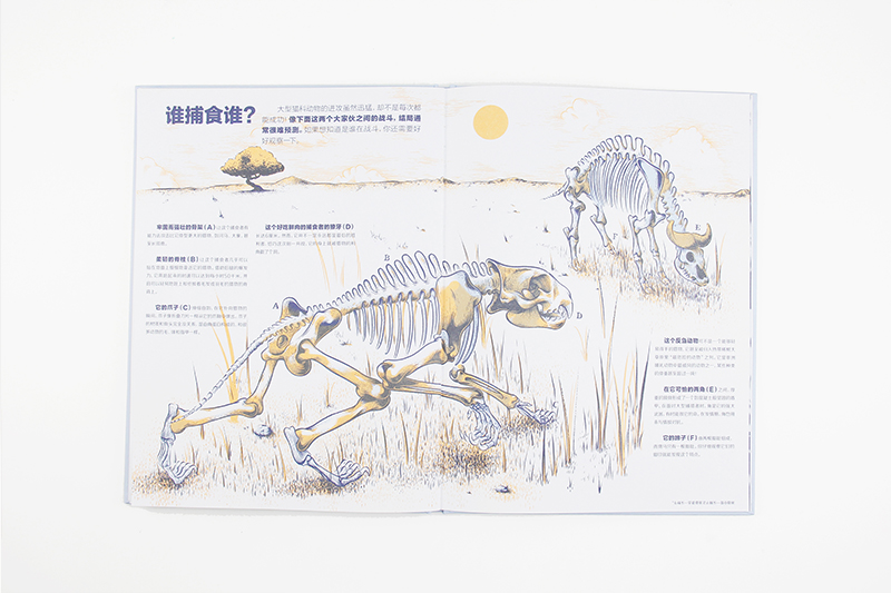 谁的骨头？详情图
