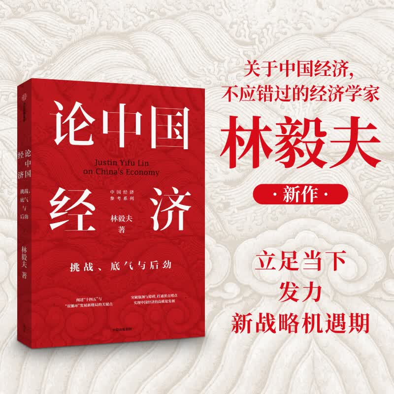 论中国经济：挑战、底气与后劲 林毅夫解读中国经济论中国十四五新发展格局双循环增长经济潜力发展/新结构