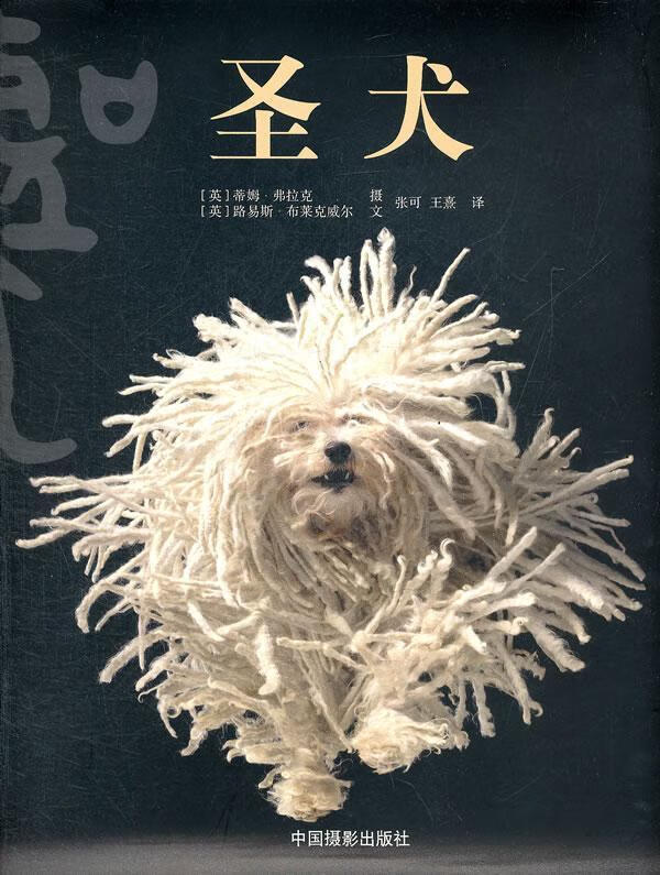 圣犬路易斯·布来克威尔中国摄影出版社9787802366138 摄影书籍