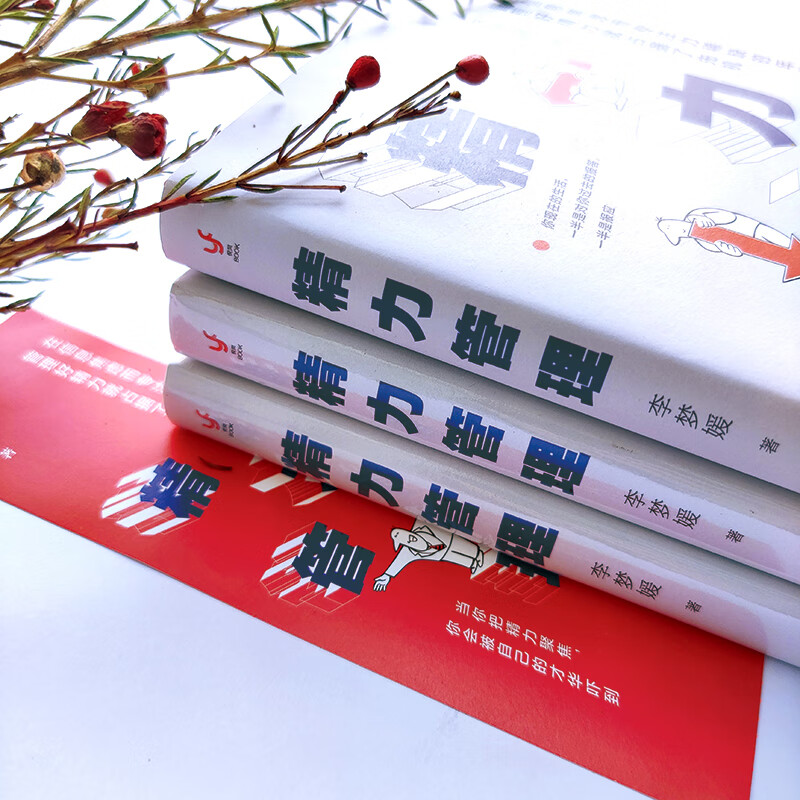 精力管理（在信息焦虑而专注力稀缺的年代，管理好精力就占据了先机）详情图