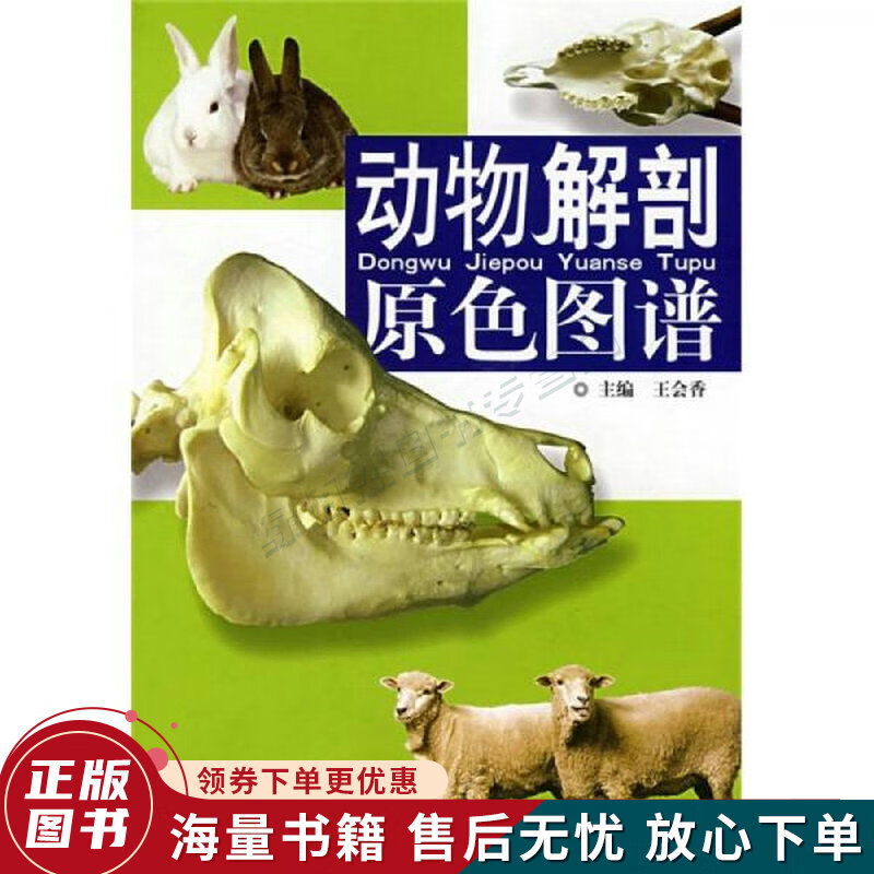 动物解剖原色图谱