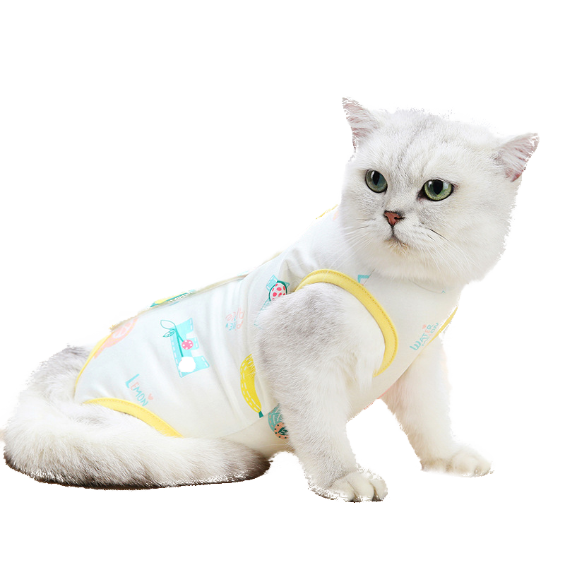 茨格曼品牌猫咪手术服，关注宠物健康，价格走势分析！