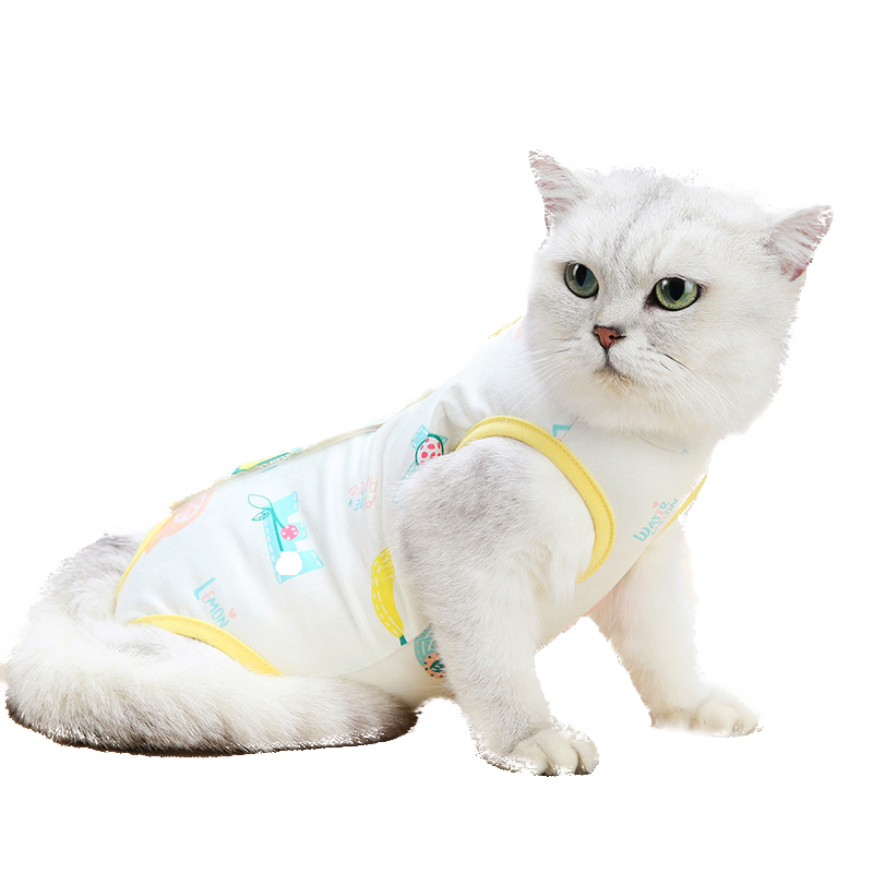 茨格曼品牌猫咪手术服,关注宠物健康,价格走势分析!